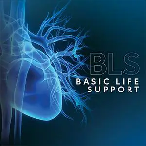 20250903235011 3 Basic Life Support Blue Heart