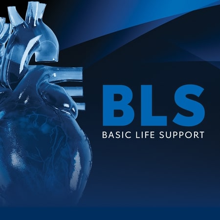 basic life support bls