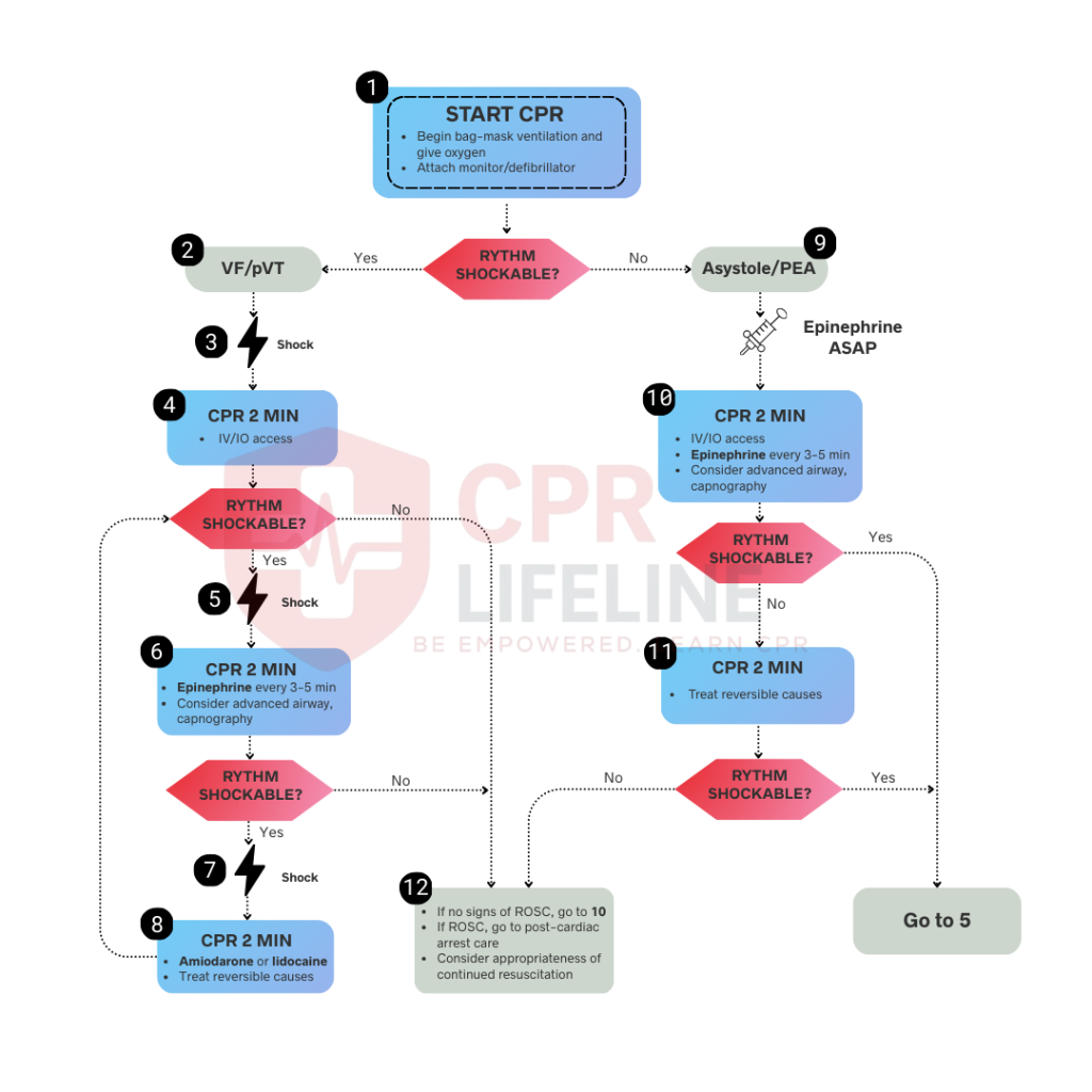 Cardia Arrest Algorithm