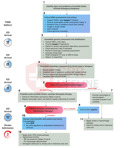 Suspected Stroke Algorithm