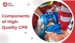 components of high quality cpr