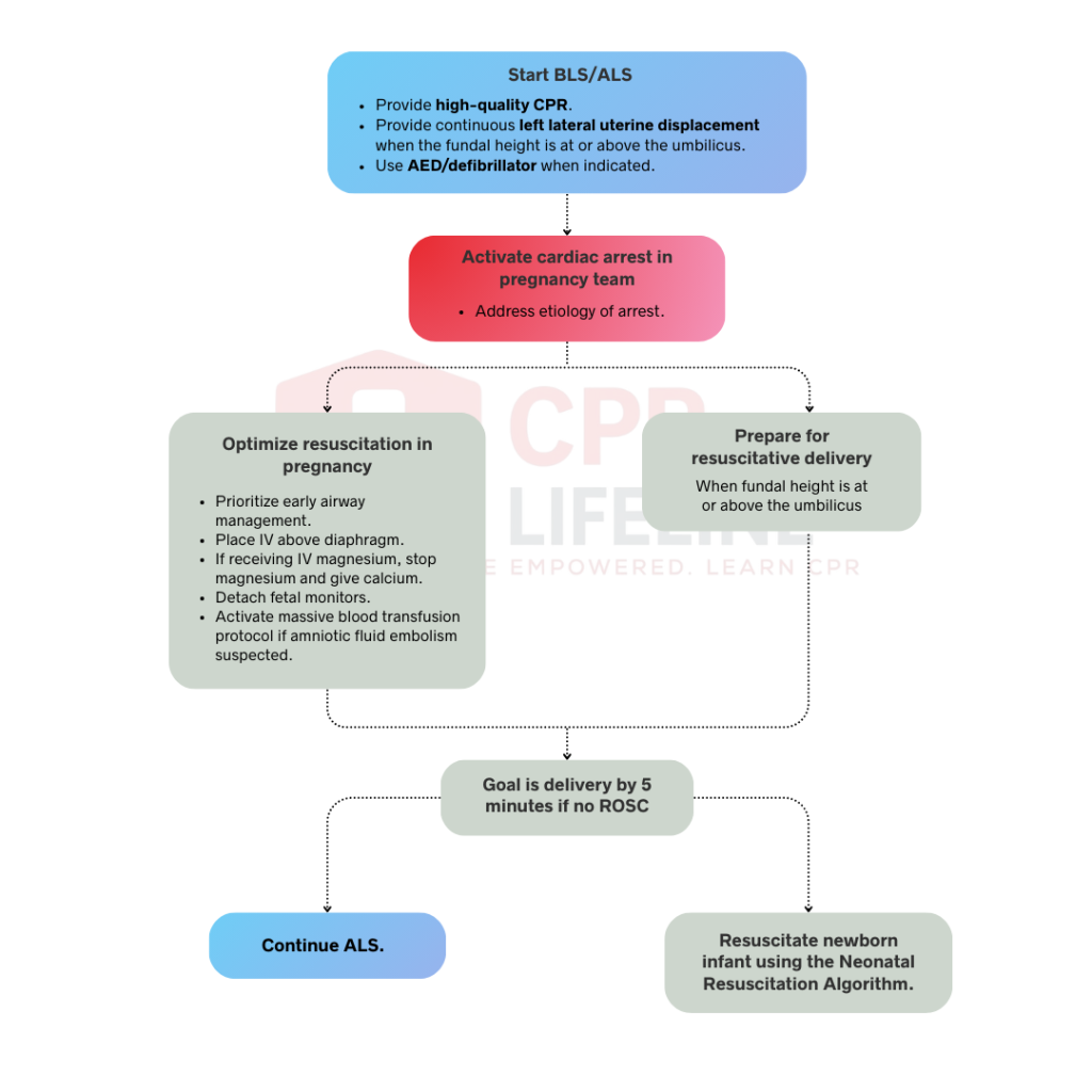 Cardiac Arrest in Pregnancy Algorithm