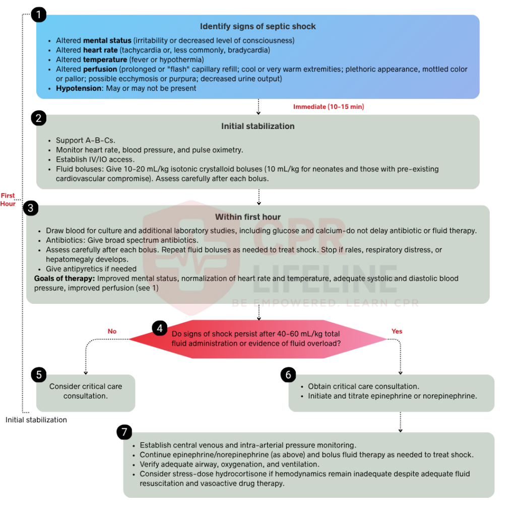 PALS Septic Shock Algorithm