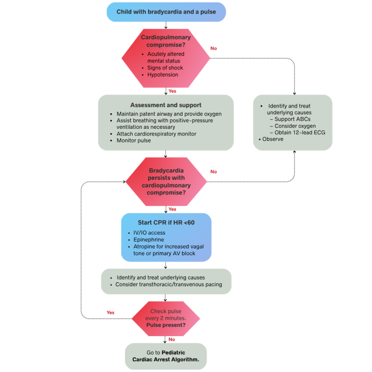 PALS Bradycardia Algorithm | CPR Lifeline