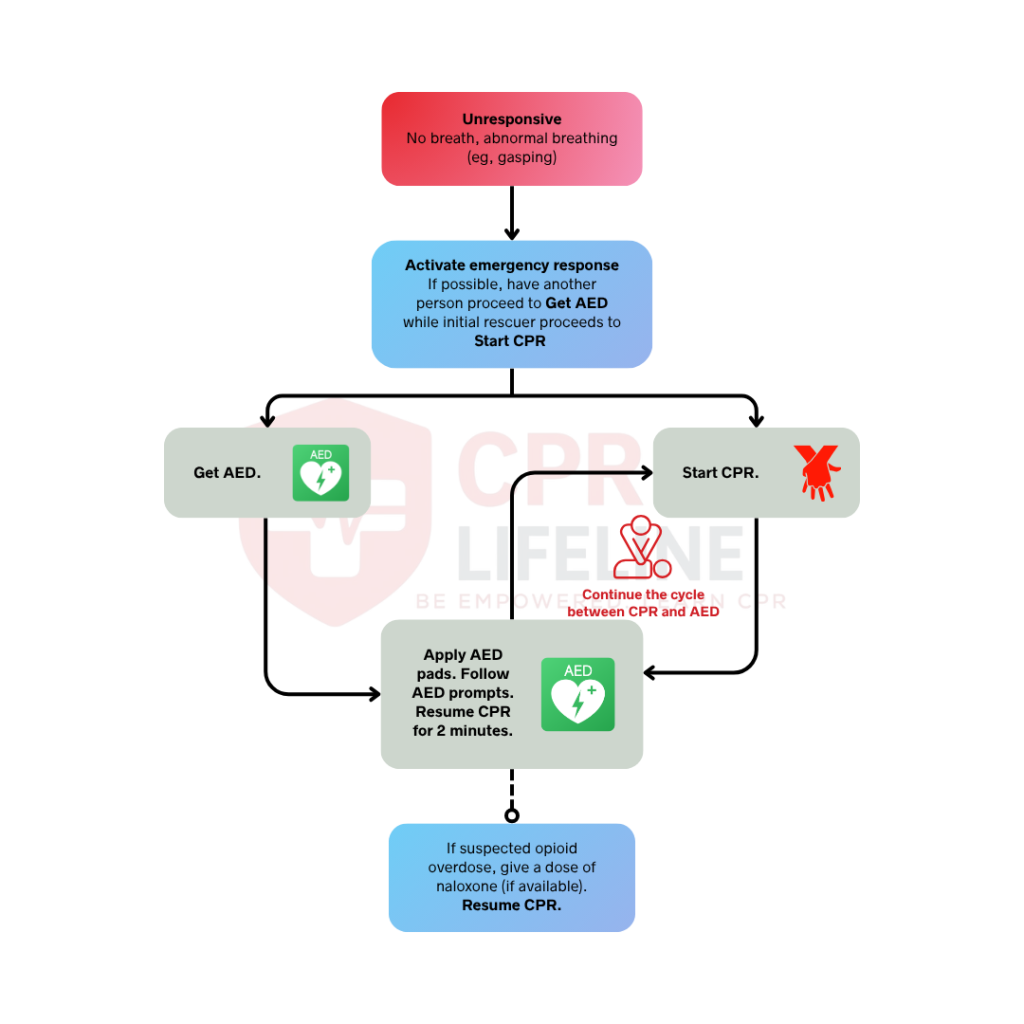 Adult BLS Algorithm for Lay Rescuers
