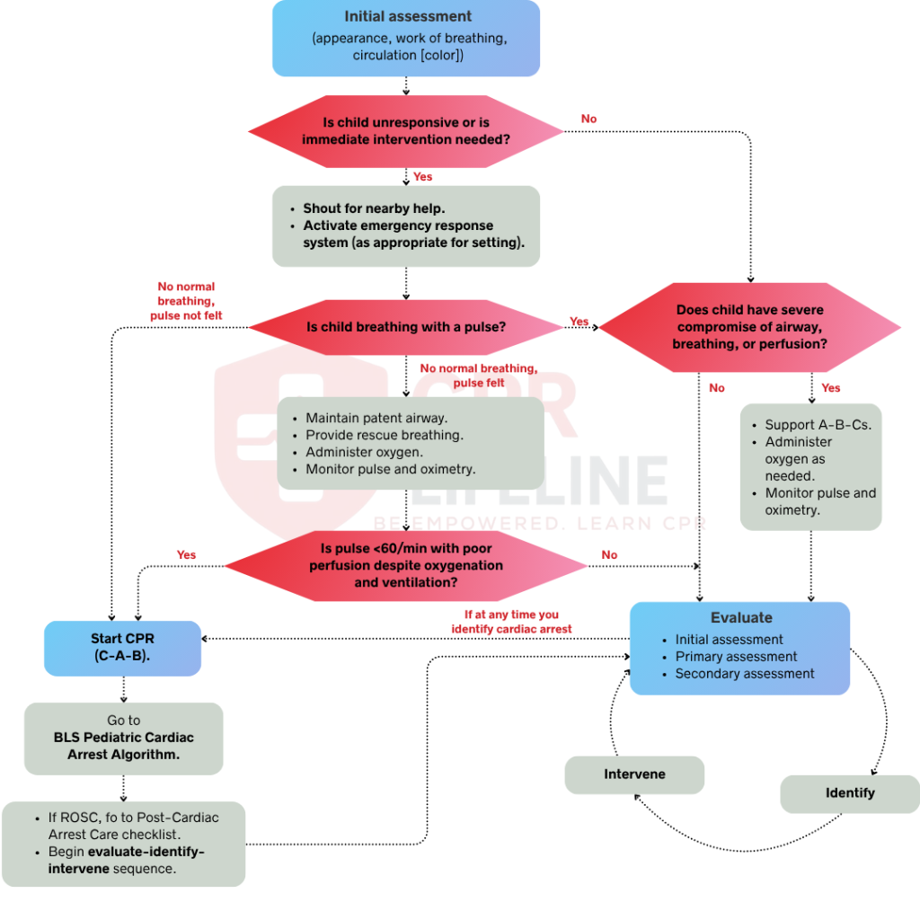 PALS Systematic Approach Algorithm