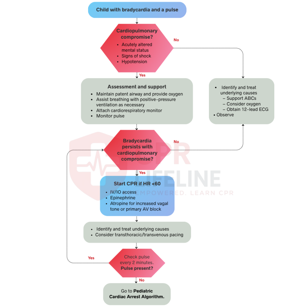 Pediatric Bradycardia Algorithm