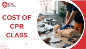 how much does a cpr class cost